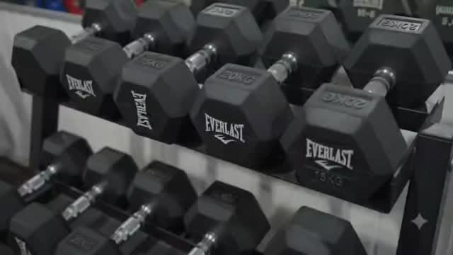 Rack de mancuernas Everlast en Apolo Gym